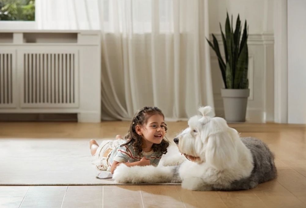 颜值实力派：三杉地板，让家从此“好看又耐造”！